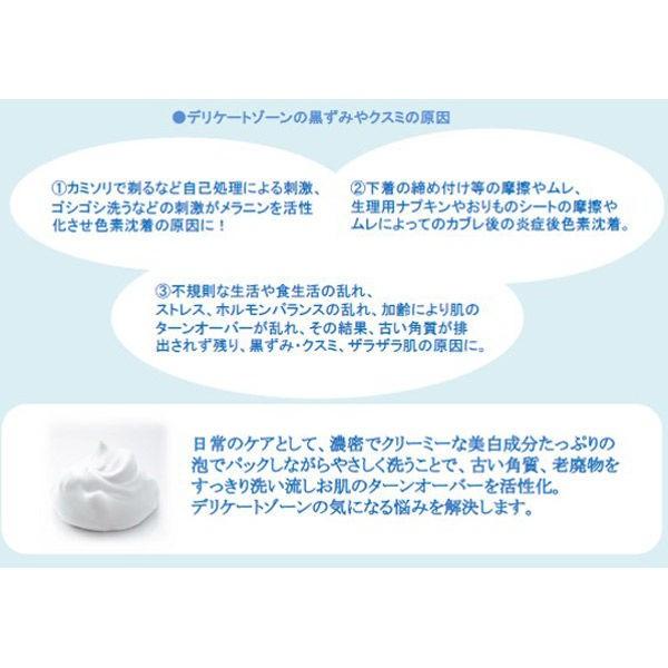 アウトクリア ケアウォッシュ ムースタイプ 100g サンヘルス|LOHACO |03