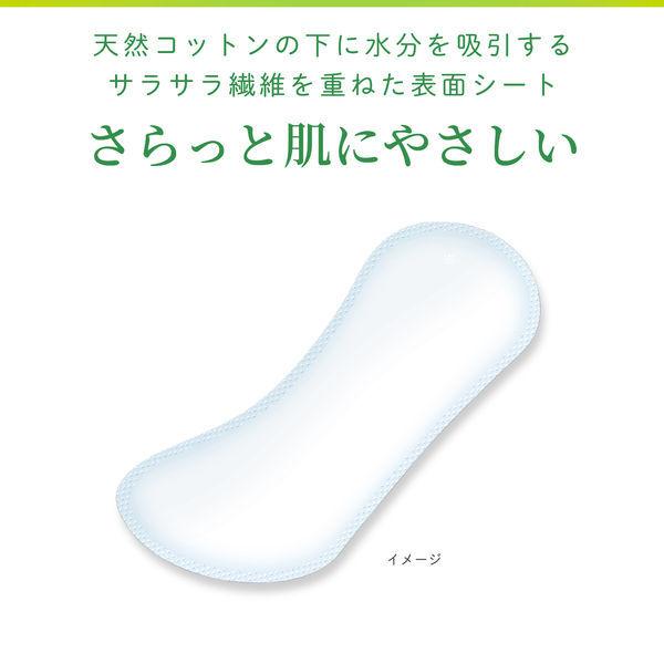 サラサーティ コットン100 極上やわらか 無香料 お洒落 1セット 52枚 3個 おりものシート 小林製薬
