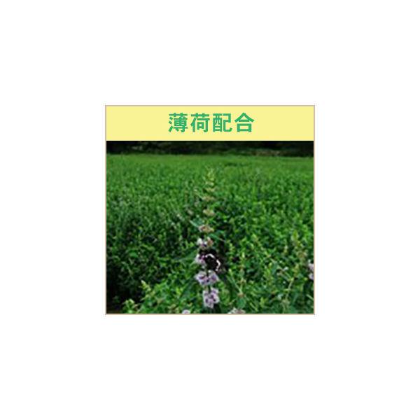 STYLE JAPAN（スタイルジャパン） 菊花線香 丸型ミニサイズ （32巻入） 1セット（2個） E.OCT :E527225