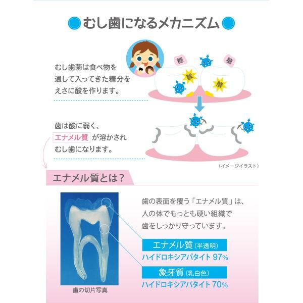 お1人様1点限り アパガード アパキッズ 子供用 ６０ｇ 美白 ホワイトニング 歯磨き粉 虫歯予防 再石灰化 薬用677円 Aynaelda Com