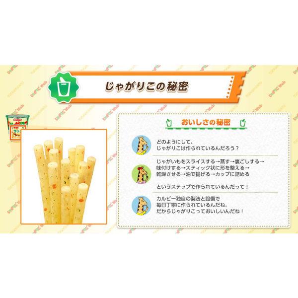 Sale 95 Off カルビー じゃがりこサラダ 1箱 16g 48袋入