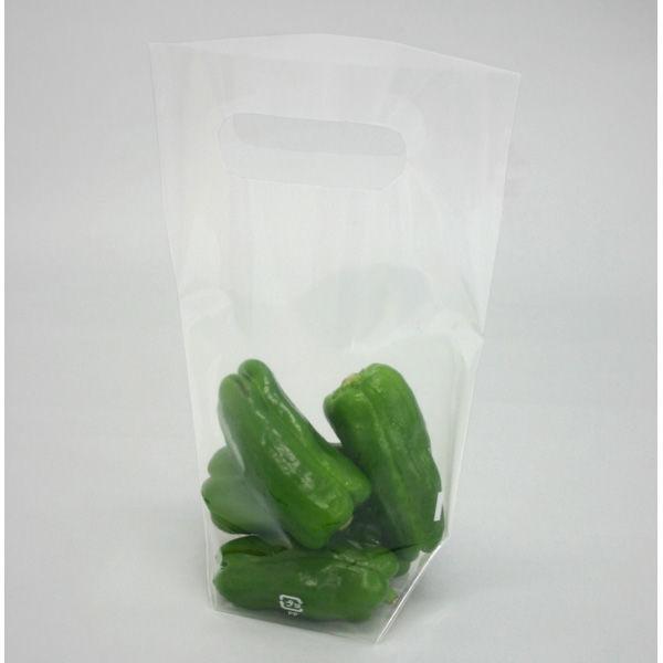 精工 透明マチ付スタンドパック ポリ袋 SP40-2 透明（把手1H） 200×270（50） 1袋（100枚入） :EE51770 ...