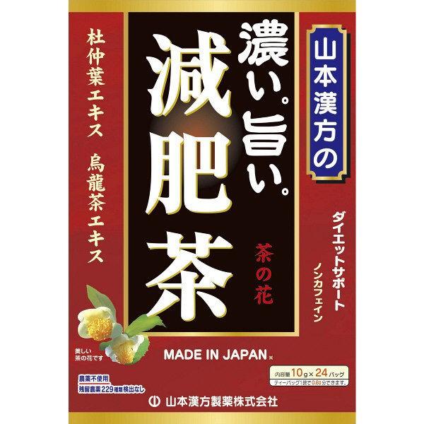 18％OFF 山本漢方製薬 濃い旨い減肥茶 1セット（10g×24包×2箱） 健康茶