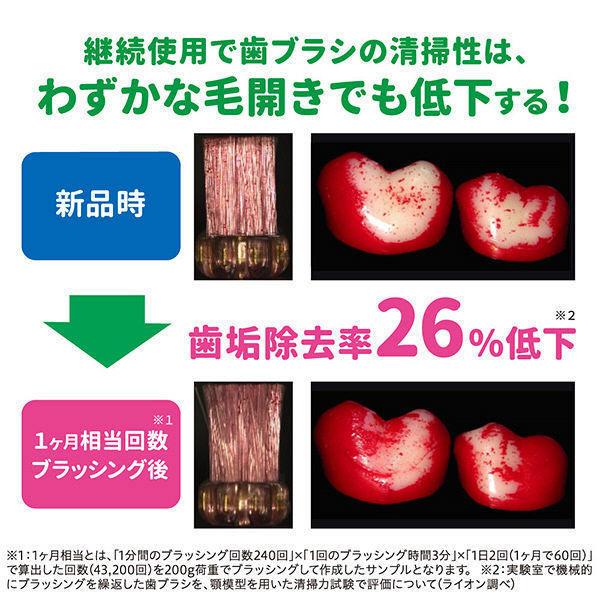 【セール】システマ ハブラシしっかり毛腰 超コンパクト ふつう 1セット(3本) ライオン 歯ブラシ 歯周病ケア|y-lohaco|06