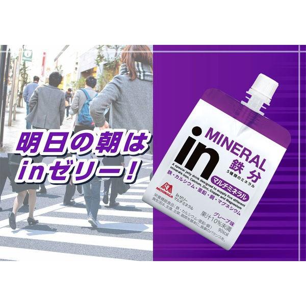 inゼリー（インゼリー）エネルギー 12個 森永製菓 栄養補助ゼリー　ゼリー飲料