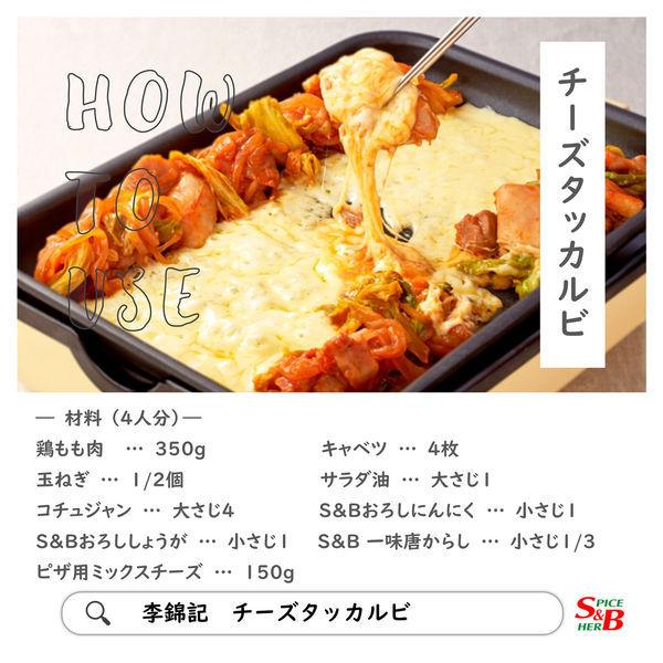 エスビー食品 SB 李錦記 コチュジャン 120g 2個|y-lohaco|04