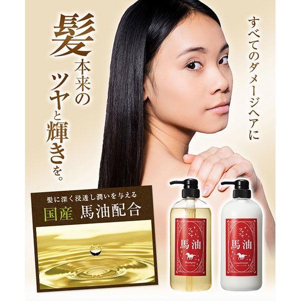 ツヤツヤ馬油 シャンプー 詰め替え 1000ml 特大 国産馬油使用 ティ エス プランニング Lohaco Paypayモール店 通販 Paypayモール