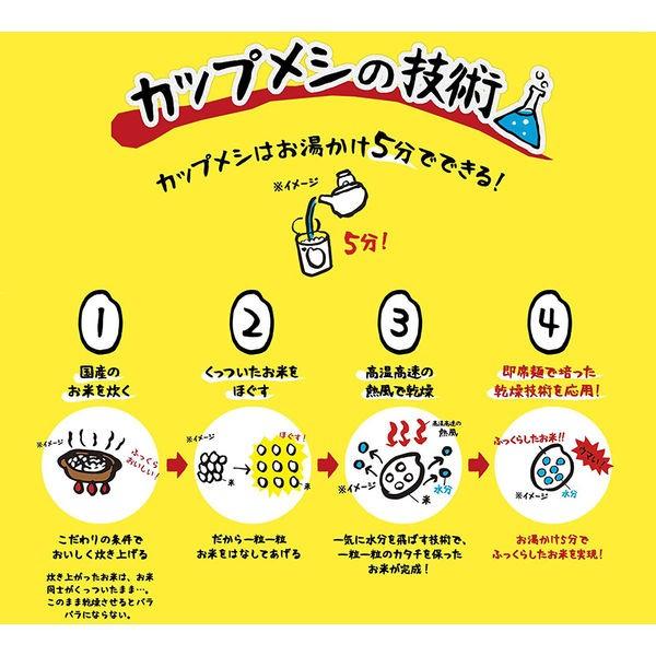 年末年始大決算 日清食品 カップヌードル ぶっこみ飯 3 Cisama Sc Gov Br