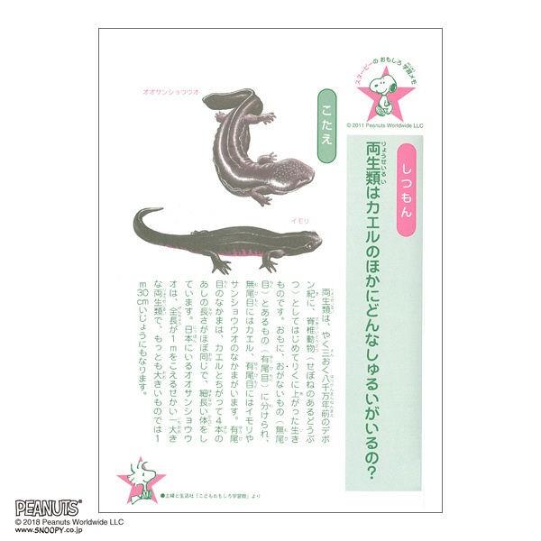 上質 スヌーピー学習帳 こくご15マス リーダー入り Pg 13 日本ノート セミb5