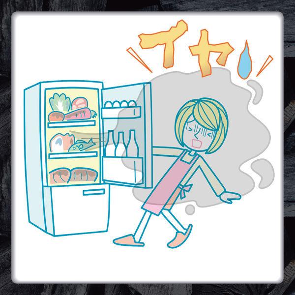 エステー 脱臭炭 冷蔵庫用大型 1個|y-lohaco|03