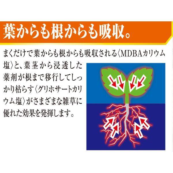 カダン 除草王 シャワーS 4.5L 1個 除草剤 フマキラー|LOHACO |03