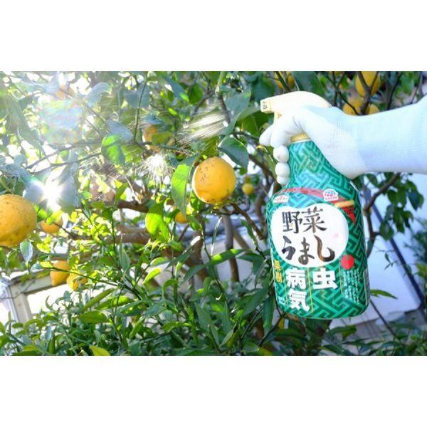 園芸用 殺虫剤 殺菌剤 アースガーデン 野菜うまし 1000ml 1個 作物用 植物 害虫 駆除 退治 スプレー 農薬 アース製薬|y-lohaco|05