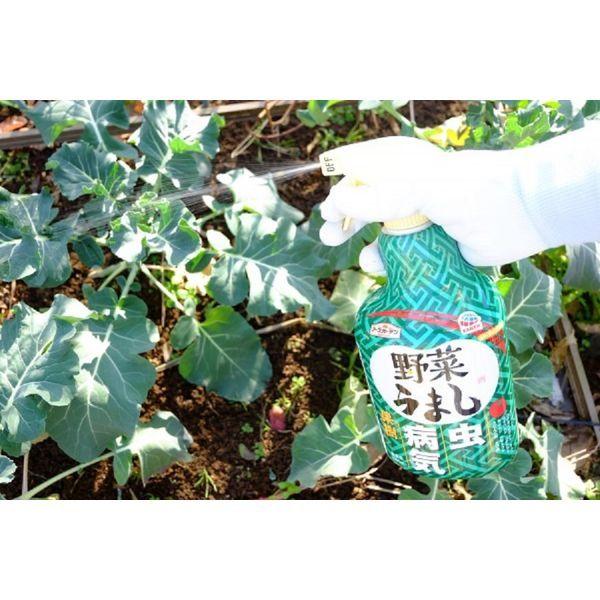 園芸用 殺虫剤 殺菌剤 アースガーデン 野菜うまし 1000ml 1個 作物用 植物 害虫 駆除 退治 スプレー 農薬 アース製薬|y-lohaco|06