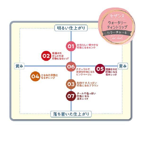 CEZANNE(セザンヌ) ウォーターティントリップ06 ピンクベージュ|y-lohaco|05