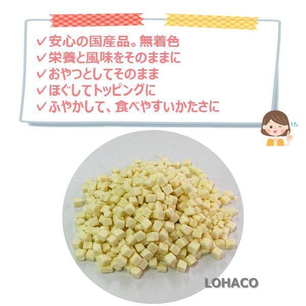 119円 特別セール品 新商品 フリーズドライ チーズ 無添加 国産 40g 1袋 ドッグフード 犬 おやつ 猫ちゃんも食べれます
