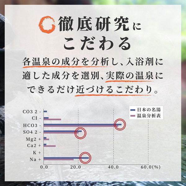 日本の名湯　人気温泉地ボトルペアセット３（登別カルルス＆別府）　バスクリン　入浴剤