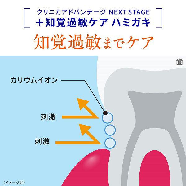 【アウトレット】【Goエシカル】クリニカアドバンテージ ネクストステージハミガキ リラックスミント 90g 1セット(6個:1個×6)ライオン|y-lohaco|06