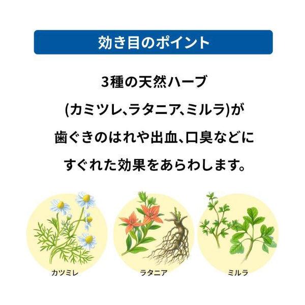 アセスL 160g 2個 佐藤製薬 アセス 医薬品 歯磨き粉 歯磨剤 歯槽膿漏 歯肉炎 歯周病薬 止血 収れん 抗炎 口臭 抗菌力 うがい薬、のど、口腔 (第3類医薬品)アセスL 120g アセス 歯周病のための医薬品 研磨剤不使用 天然ハーブ配合