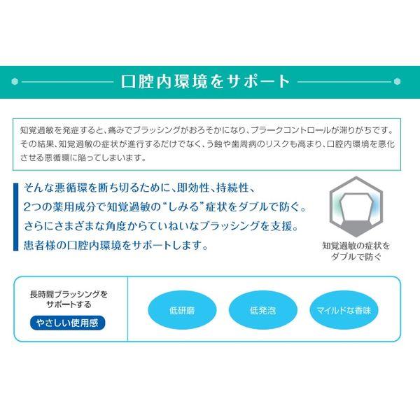 歯科医院取扱品 DENT.systema(デントシステマ) センシティブ 85g 1セット(2個)ライオン(LION) 知覚過敏ケア 歯磨き粉|y-lohaco|04
