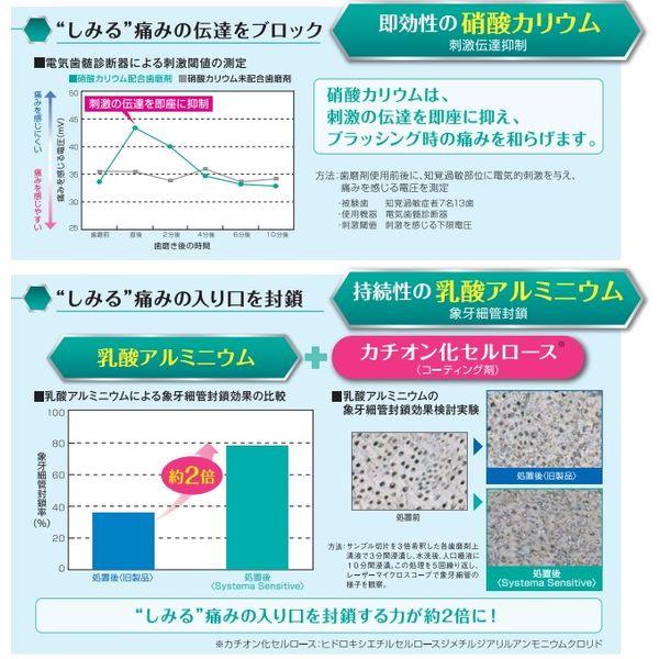 歯科医院取扱品 DENT.systema(デントシステマ) センシティブ 85g 1セット(2個)ライオン(LION) 知覚過敏ケア 歯磨き粉|y-lohaco|05