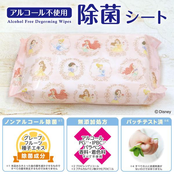 ウェットティッシュ ノンアルコール ディズニー 除菌シート ディズニープリンセス(60枚×3コパック)2パック レック|y-lohaco|04