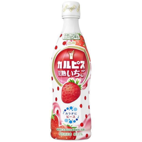 アサヒ飲料 カルピス 完熟いちご(希釈用)プラスチックボトル 470ml 1セット(3本)|y-lohaco|02