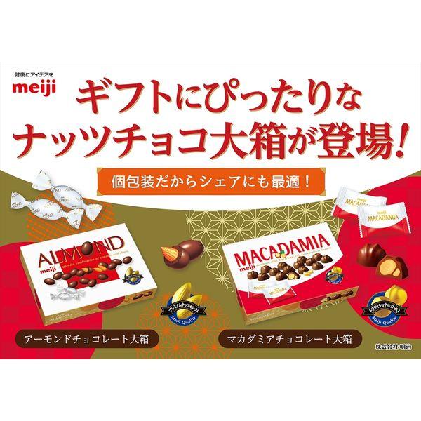 マカダミアチョコレート大箱 180g 1個 明治 チョコレート|y-lohaco|03