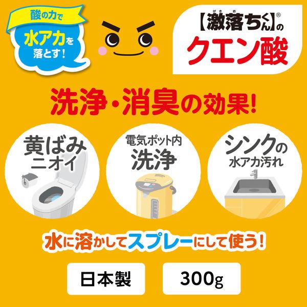 ナチュラルクリーニング 激落ちくん クエン酸 粉末タイプ 300g 1個 レック|y-lohaco|02