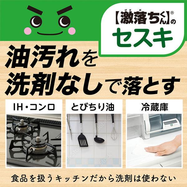 ナチュラルクリーニング 激落ちくん セスキスプレー 詰め替え 500mL 1セット(3個) レック|y-lohaco|03