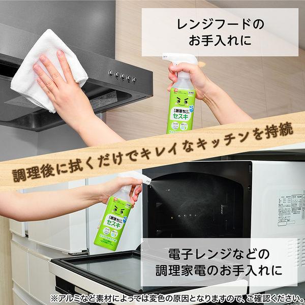 ナチュラルクリーニング 激落ちくん セスキスプレー 詰め替え 500mL 1セット(3個) レック|y-lohaco|05