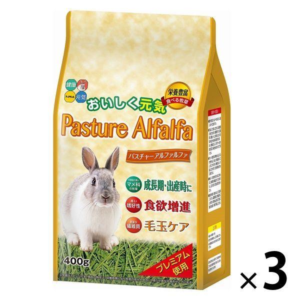 ラビットフード パスチャー アルファルファ 400g 3袋 ハイペット :P099297:LOHACO Yahoo!店 - 通販 -  Yahoo!ショッピング