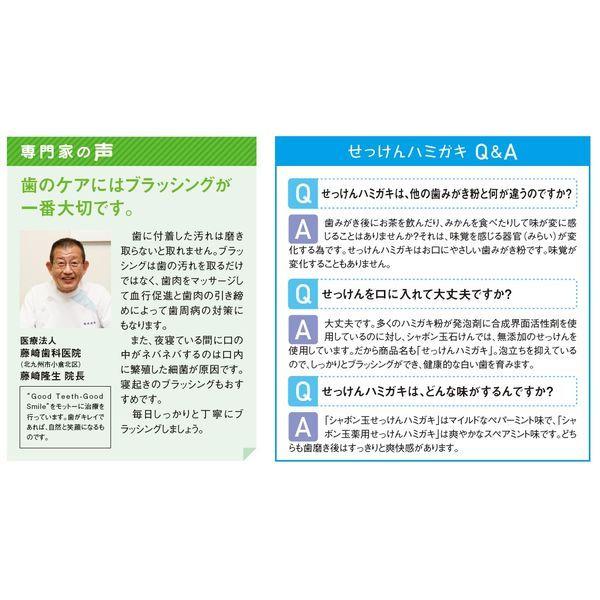 シャボン玉 薬用 せっけんハミガキ 薬用ハミガキS 80g 1セット(2本) シャボン玉石けん 歯磨き粉|y-lohaco|04