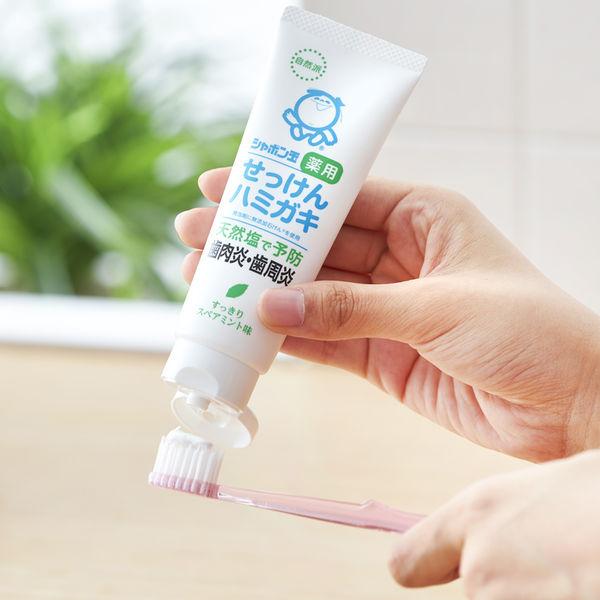 シャボン玉 薬用 せっけんハミガキ 薬用ハミガキS 80g 1セット(2本) シャボン玉石けん 歯磨き粉|y-lohaco|05