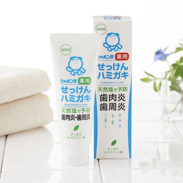 シャボン玉 薬用 せっけんハミガキ 薬用ハミガキS 80g 1セット(2本) シャボン玉石けん 歯磨き粉|y-lohaco|06