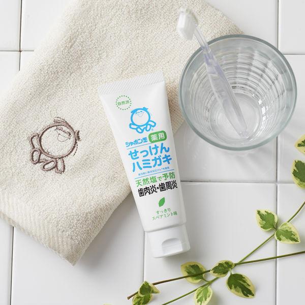 シャボン玉 薬用 せっけんハミガキ 薬用ハミガキS 80g 1セット(2本) シャボン玉石けん 歯磨き粉|y-lohaco|07