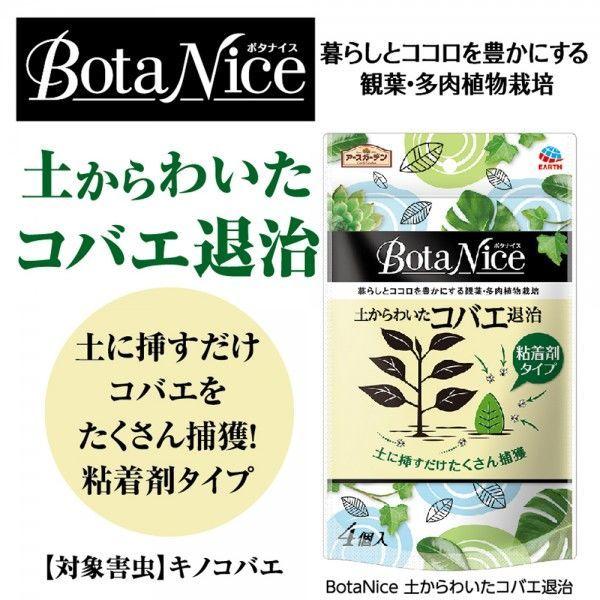 セール特価 コバエ 駆除 対策 観葉植物 アースガーデン Botanice 土からわいた コバエ退治 粘着剤タイプ 1個 4個入 アース製薬 Riosmauricio Com