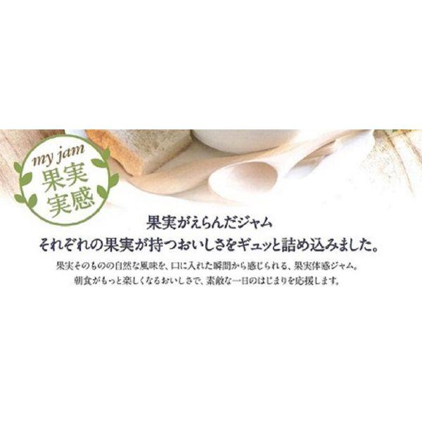 明治屋 果実実感 つぶつぶブルーベリージャム 340g 1個|y-lohaco|03