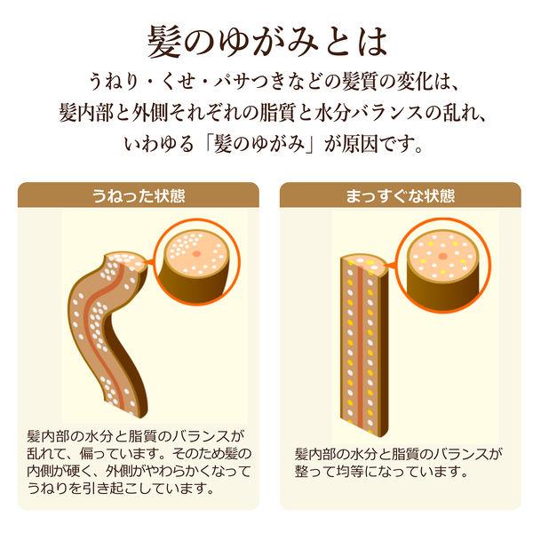 ディアボーテ HIMAWARI(ヒマワリ) オイルインシャンプー リッチ&リペア エレガントフローラル 詰め替え 360mL クラシエホームプロダクツ :P435124:LOHACO Yahoo!店 - 通販 - Yahoo!ショッピング ディアボーテ HIMAWARI(ヒマワリ) オイルインシャンプー リッチ&リペア エレガントフローラル 詰め替え 360mL クラシエホームプロダクツ :P435124:LOHACO Yahoo!店 - 通販 - Yahoo!ショッピング