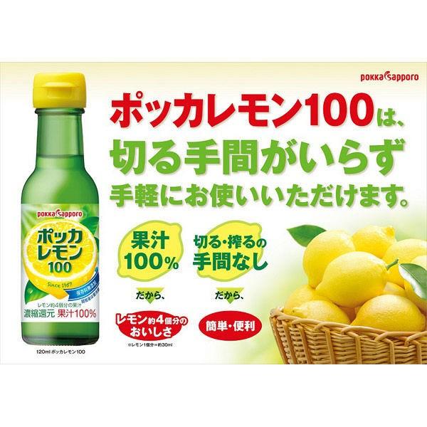 ポッカサッポロフード ビバレッジ ポッカレモン100 1ml 1個 Lohaco Paypayモール店 通販 Paypayモール
