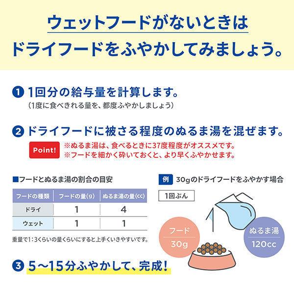 上等な ヒルズ プリスクリプションダイエット C D シーディー マルチケア 尿ケア 特別療法食 500g キャットフード 猫 ドライ3 055円 Whitesforracialequity Org