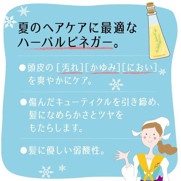税込 送料無料 L Occitane ロクシタン ファイブハーブス ピュアフレッシュネス シャンプー レフィル 500ml3 740円 Aynaelda Com