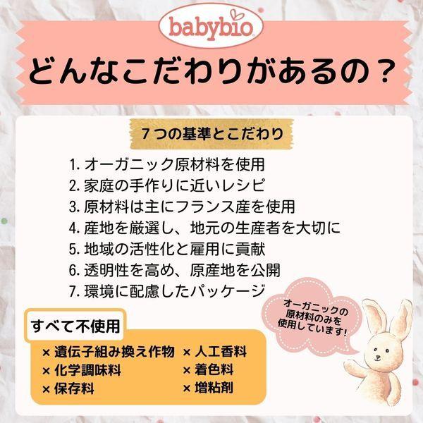 若者の大愛商品 6ヶ月頃から ベビービオ有機ベビースムージー4種セット A 1箱 ミトク ベビーフード Babylonrooftop Com Au