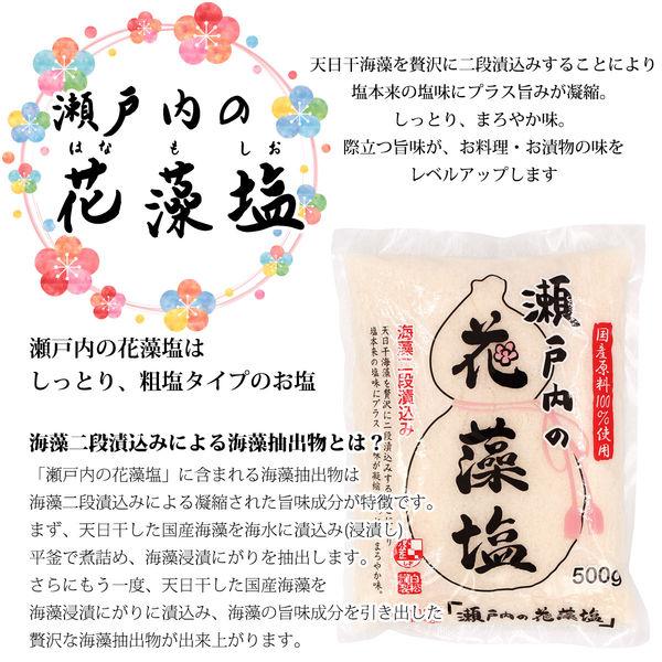 瀬戸内の花藻塩 500g 10個 白松|y-lohaco|02