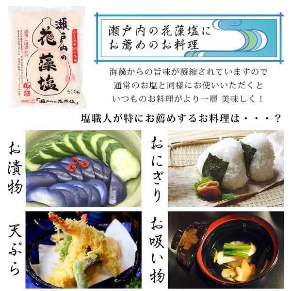 瀬戸内の花藻塩 500g 10個 白松|y-lohaco|03