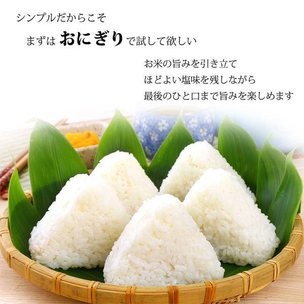 SALE/68%OFF】 瀬戸内の花藻塩 500g 10個 白松1 880円 whitesforracialequity.org SALE/68%OFF】 瀬戸内の花藻塩 500g 10個 白松1 880円 whitesforracialequity.org