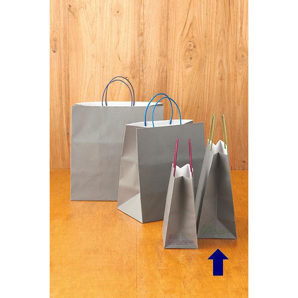 アスクルカタログ リサイクル手提げ紙袋「Come bag/カムバッグ」220×260×120mm 1セット(100枚) オリジナル|LOHACO |03