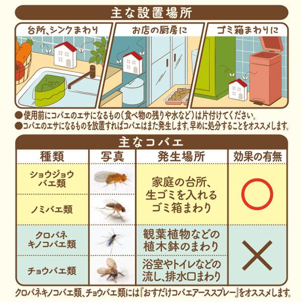 ロハコ限定販売 ハエ はえ 駆除 コバエがホイホイ 赤い屋根のおうち アース製薬 容器 取り替え 高級品 3個 1個