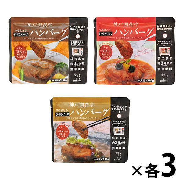 神戸開花亭 煮込みハンバーグ3種 デミグラスソース トマトソース 各3袋セット デポー レンジ対応 テリヤキソース