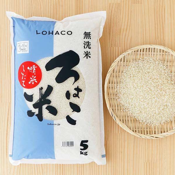 秋田県産 あきたこまち 限定品 プレゼント 5kg 無洗米 精米したて 米 ろはこ米 令和2年産 ※発送日当日精米 お米
