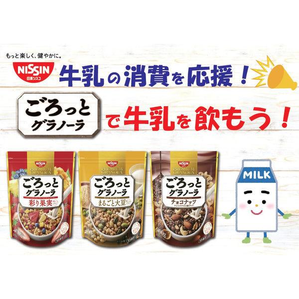 アウトレット 日清シスコ ごろっとグラノーラ 薫る宇治抹茶 360g グラノーラ シリアル 1個 いちご 朝食 おやつ Lohaco Paypayモール店 通販 Paypayモール